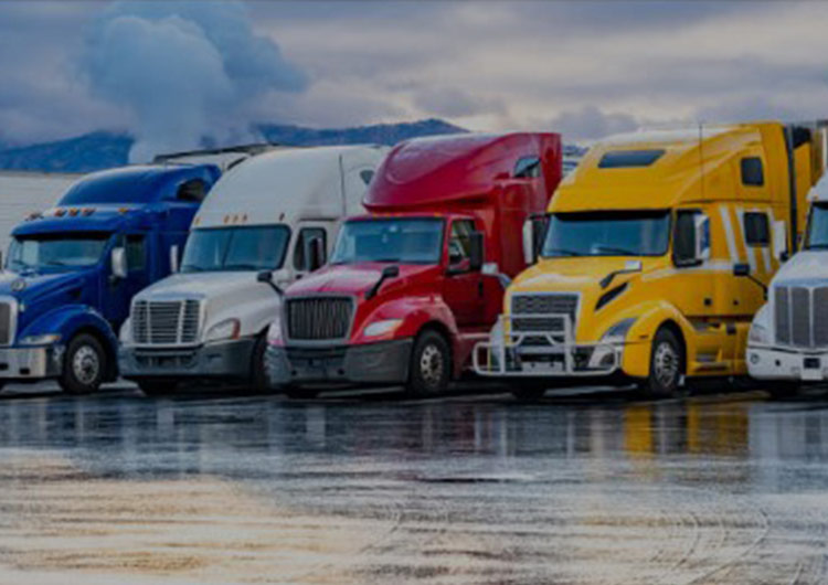 Freight Transportation